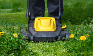 Eco Grass Lawn