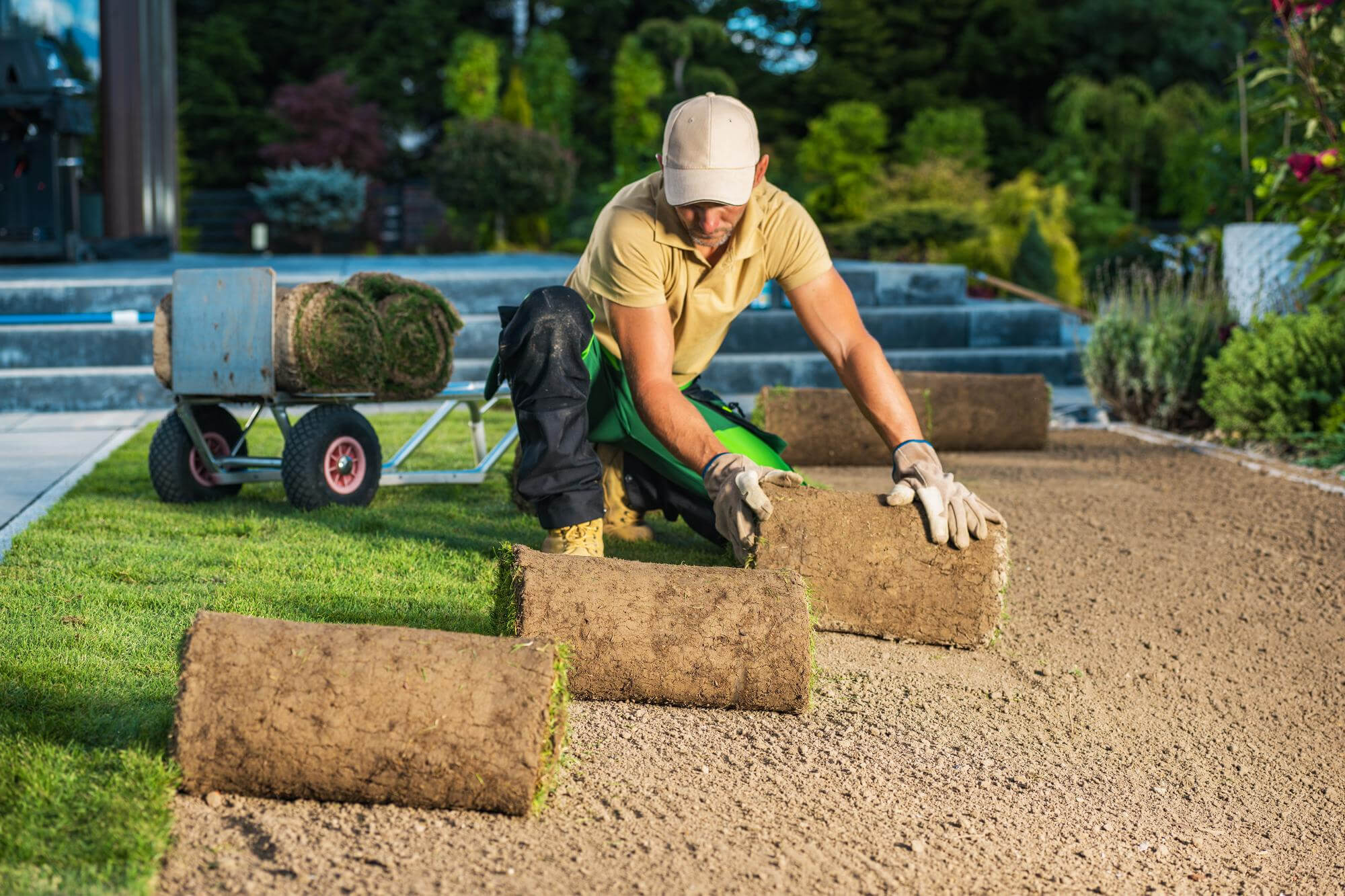 Eco Grass Lawn