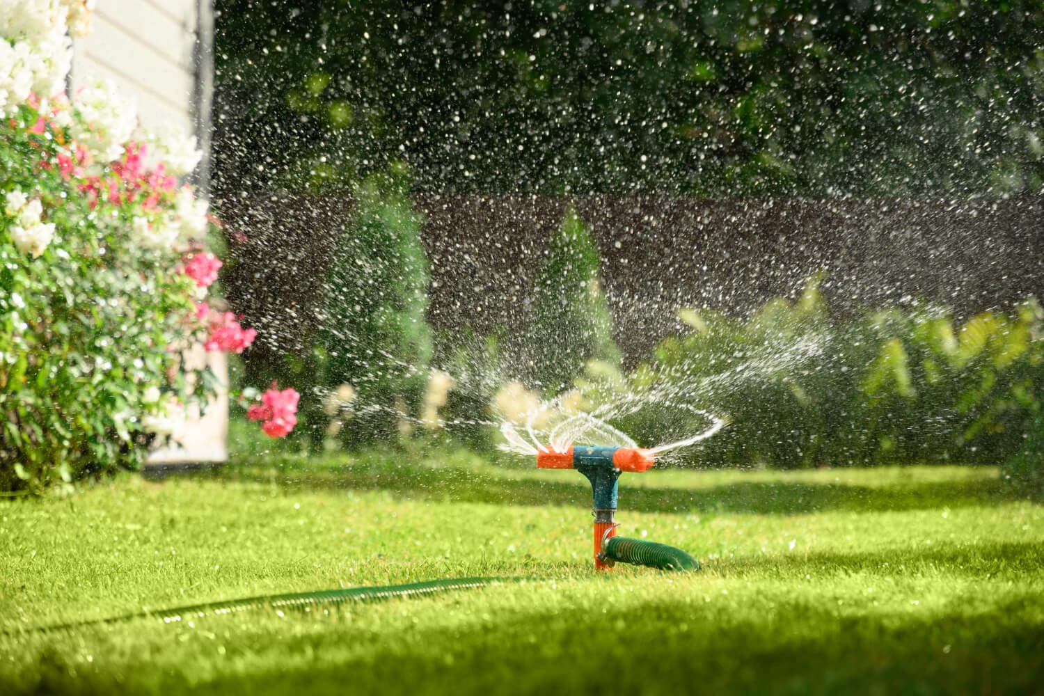 landscaping